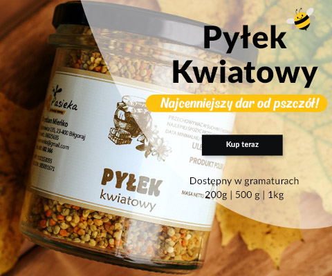 Pyłek kwiatowy, pyłek pszczeli 2022