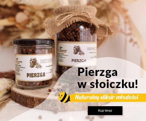 Pierzga pszczela 2025